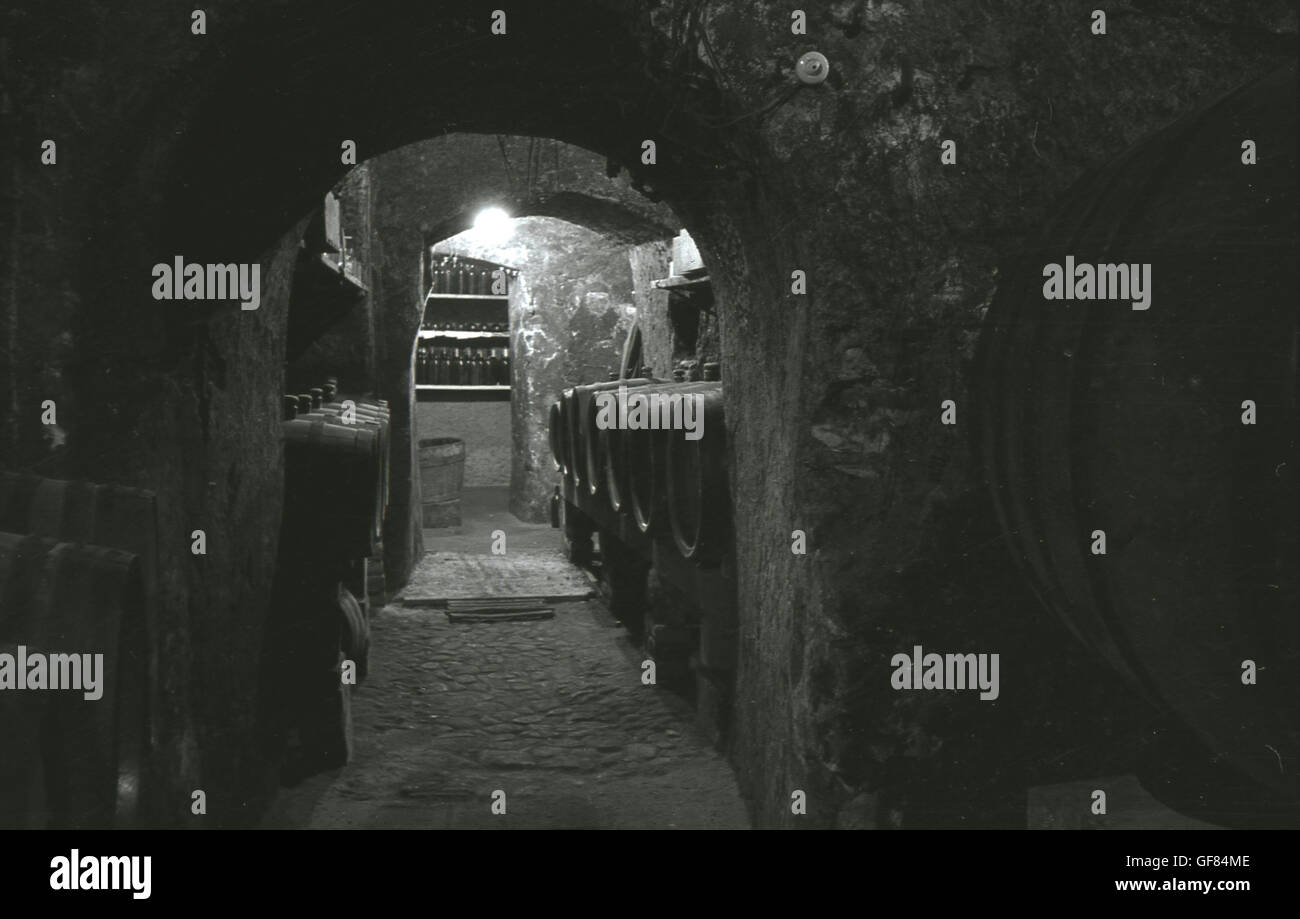 1930s, storico botti di rovere di vino che è memorizzato in una cantina nel seminterrato, Praga, Cecoslovacchia. Foto Stock