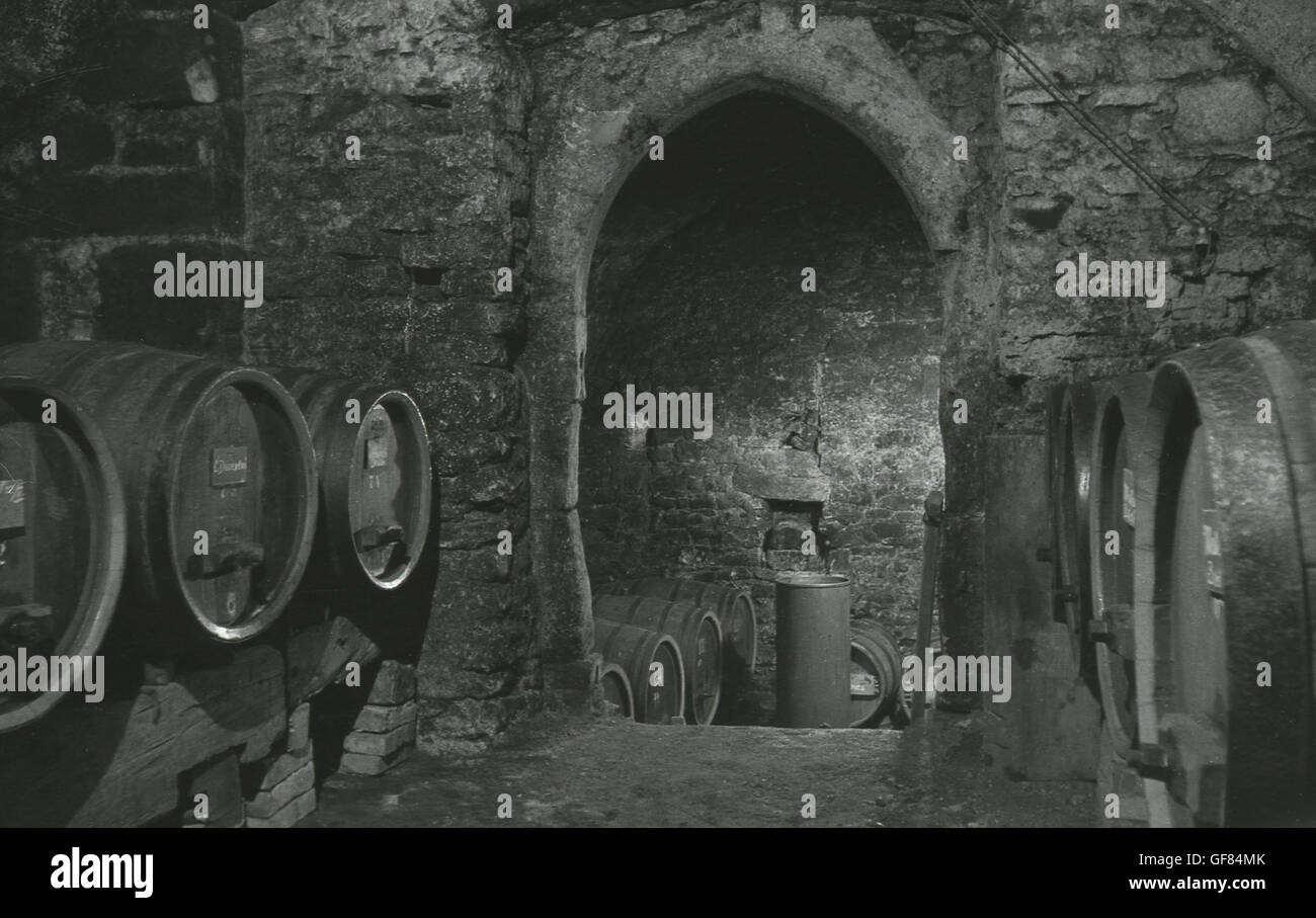 1930s, storico botti di rovere di vino che è memorizzato in una cantina nel seminterrato, Praga, Cecoslovacchia. Foto Stock