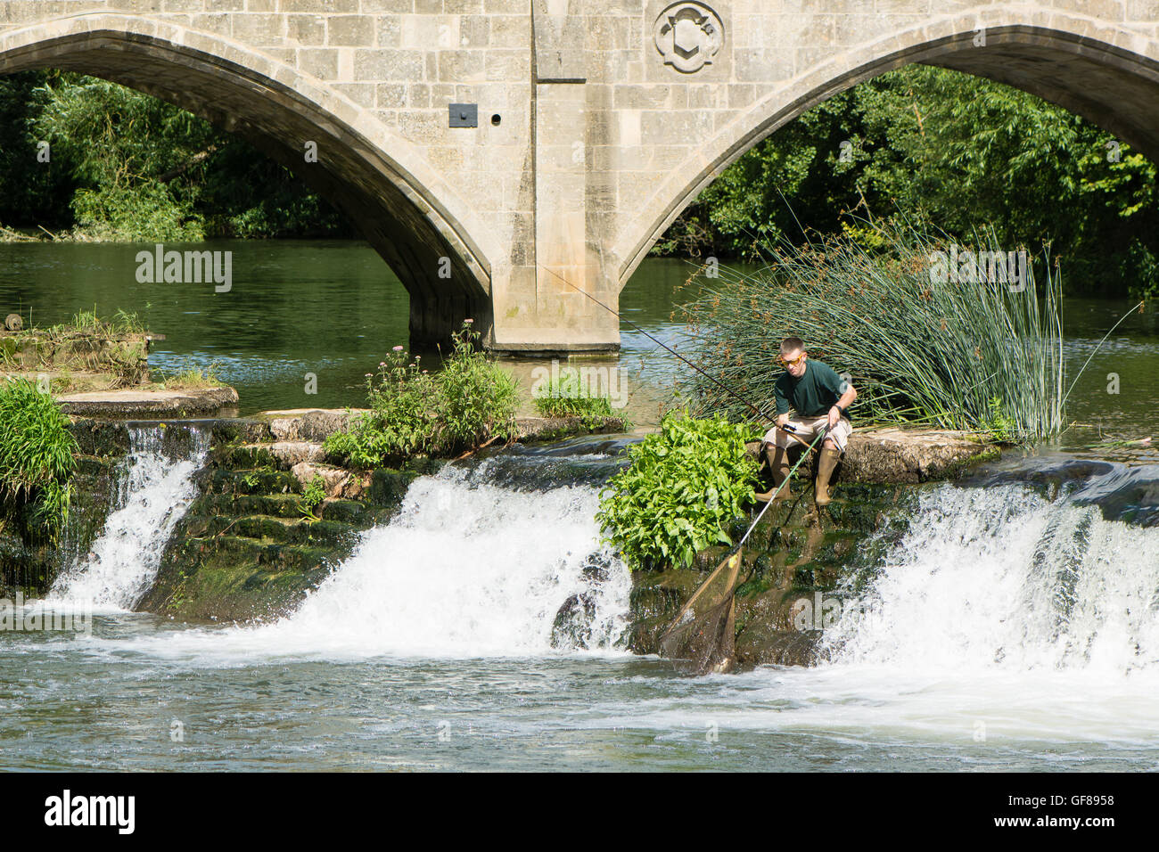 Pescatore per Bathampton Weir con asta e net. Pescatore dilettante sbanca il pesce nella rete sulla cascata del Fiume Avon Foto Stock