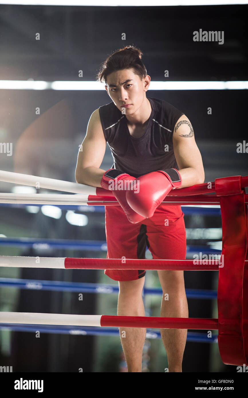 Boxer cinesi in appoggio nel pugilato ring Foto Stock