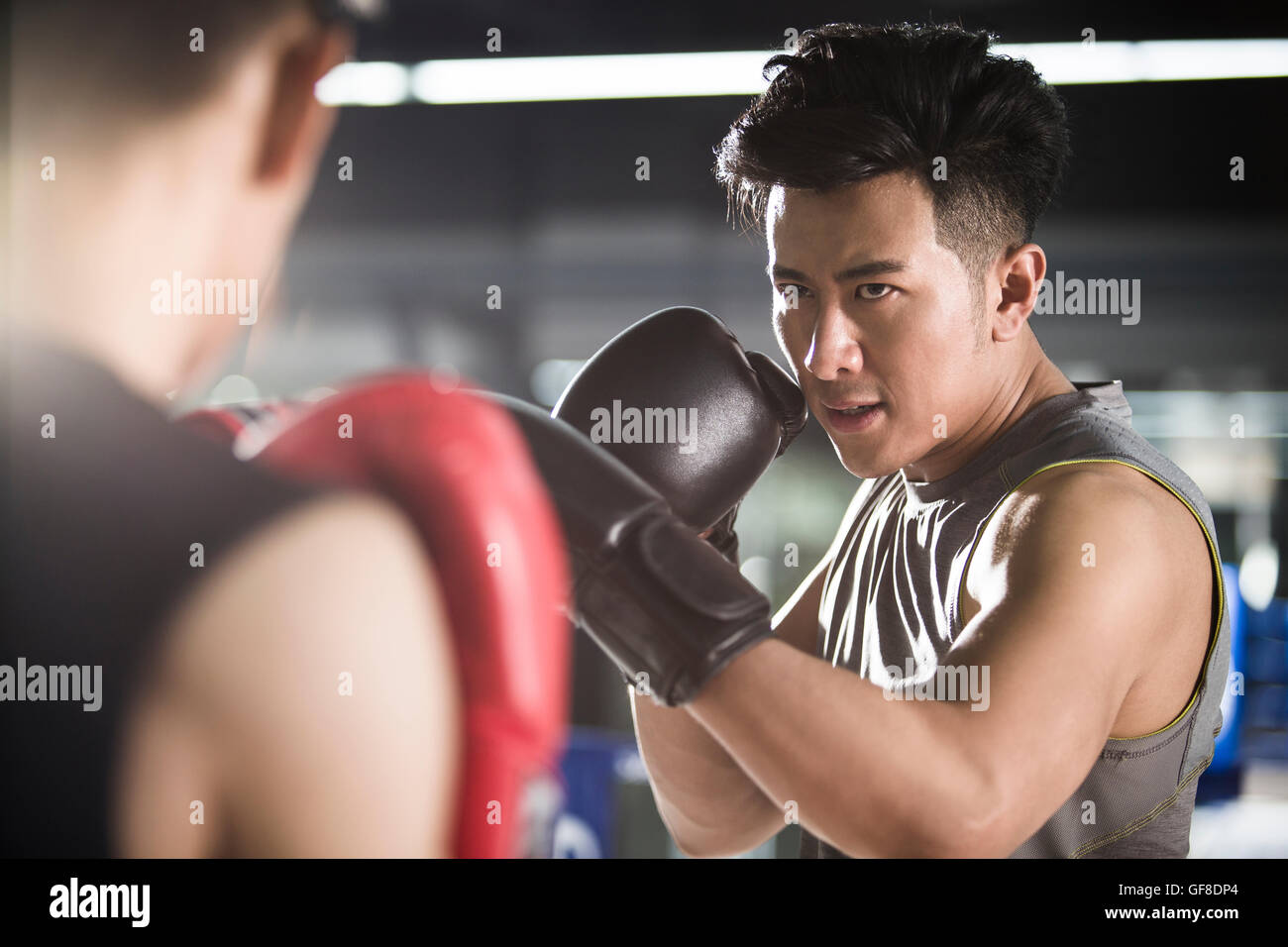 Pugili cinesi combattimenti nel pugilato ring Foto Stock
