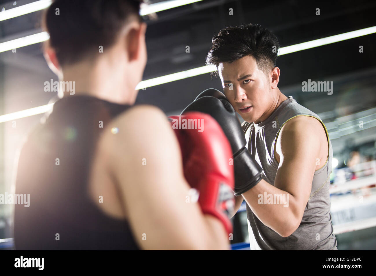 Pugili cinesi combattimenti nel pugilato ring Foto Stock