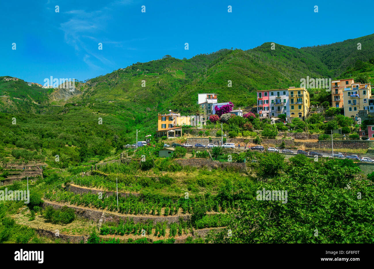 Vista del villaggio colorato corniglia cinque terre, la spezia, Italia. vigneti e case. Foto Stock