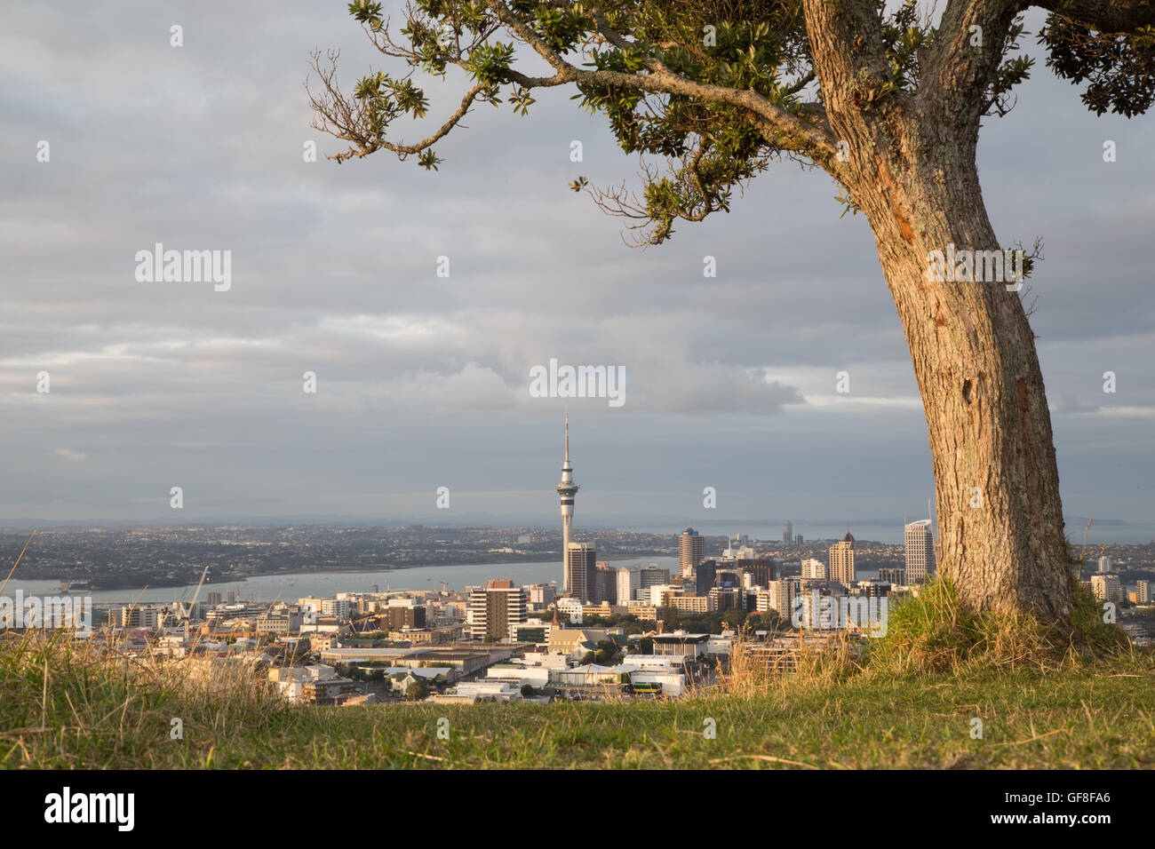 Auckland, Nuova Zelanda - 8 Febbraio 2015: vista dello skyline della città come visto dal monte Eden Foto Stock