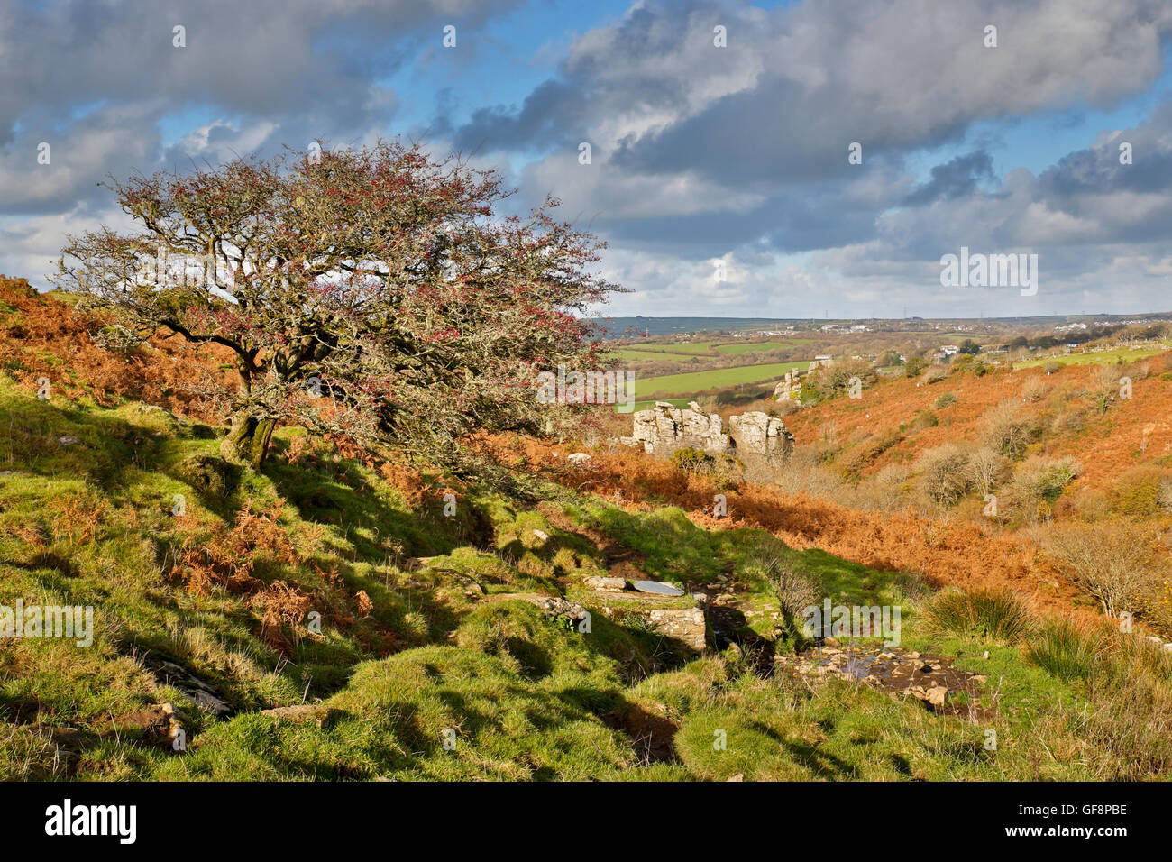 Devil's Leap; Bodmin Moor; Cornovaglia; Regno Unito Foto Stock