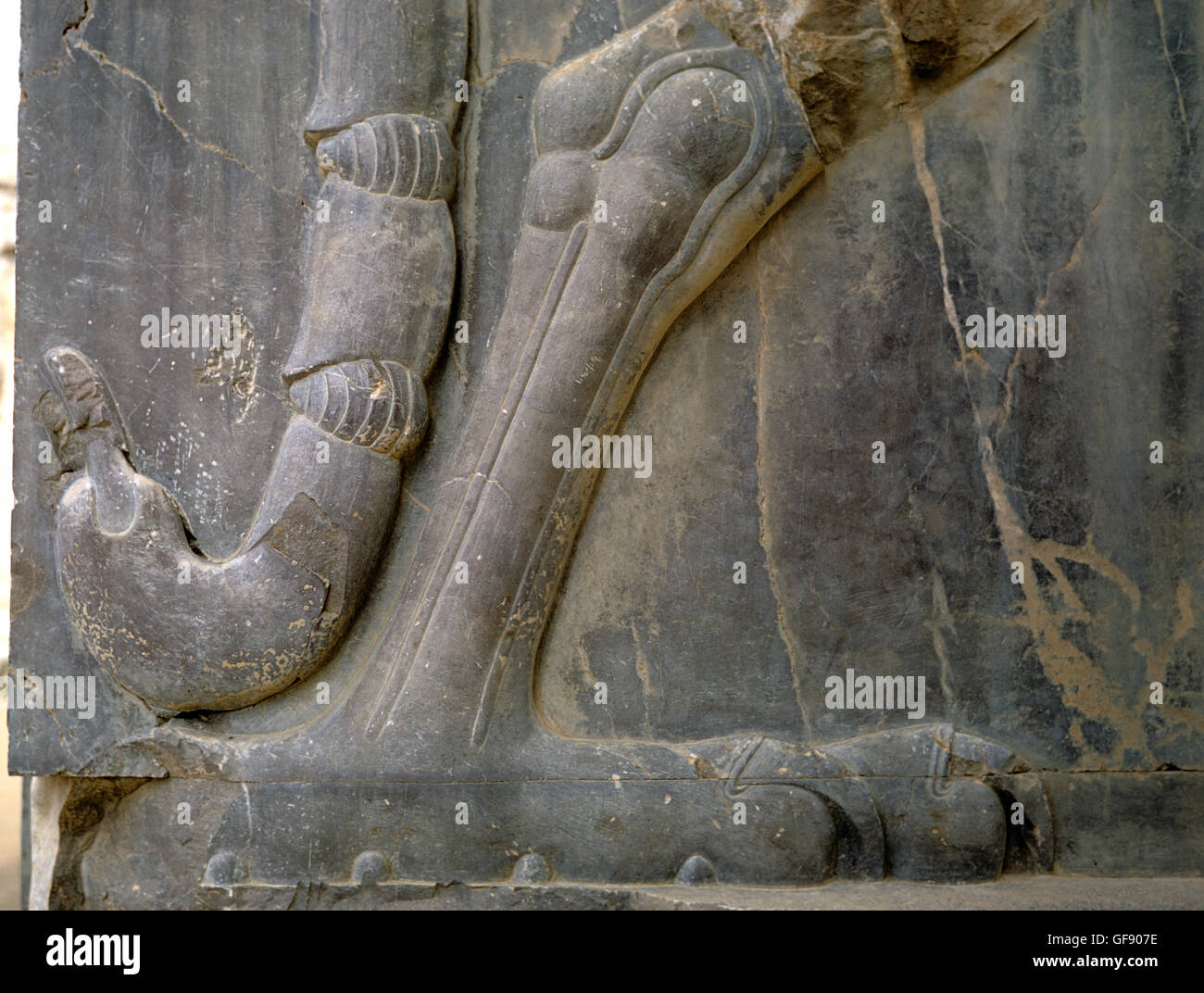Dettaglio della coda di scorpione di animale composito, porta nella sala delle colonne 100, Persepolis, Iran 690125 129 Foto Stock