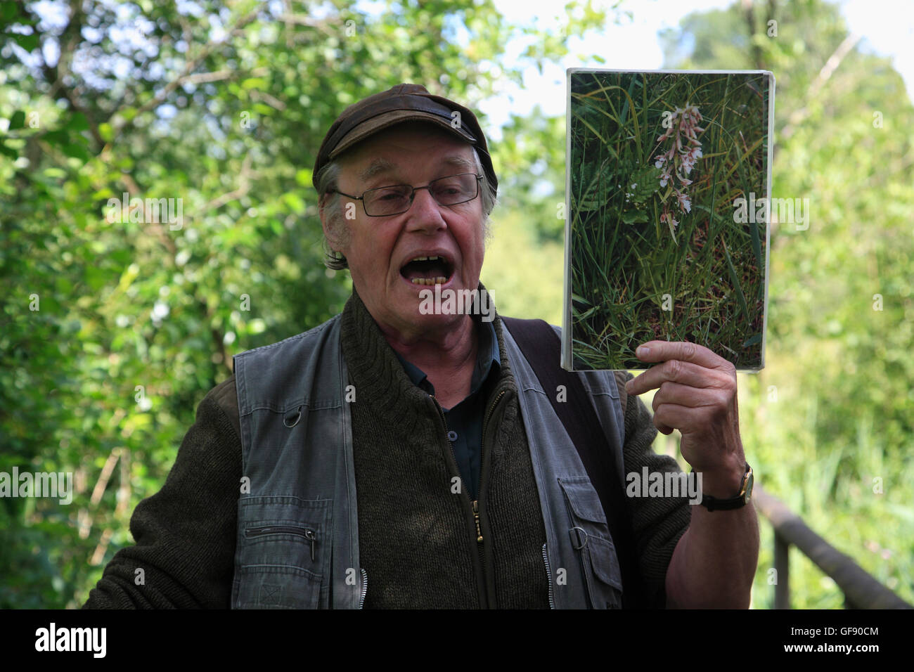 Zarrentin, guidato tour della natura, il lago Schaalsee, Meclemburgo-Pomerania, Germania, Europa Foto Stock