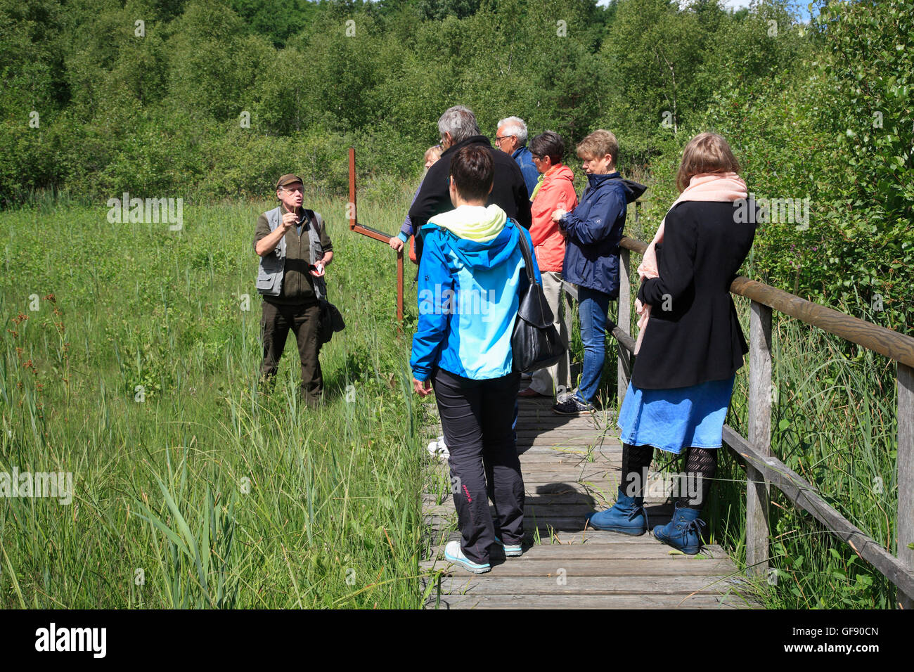 Zarrentin, guidato tour della natura, il lago Schaalsee, Meclemburgo-Pomerania, Germania, Europa Foto Stock