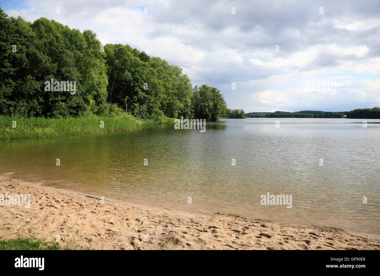 Dutzow, Spiaggia, Lago Schaalsee, Meclemburgo-Pomerania, Germania, Europa Foto Stock