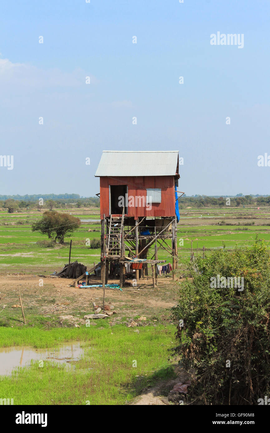 Una casa su palafitte in Cambogia il paesaggio Foto Stock