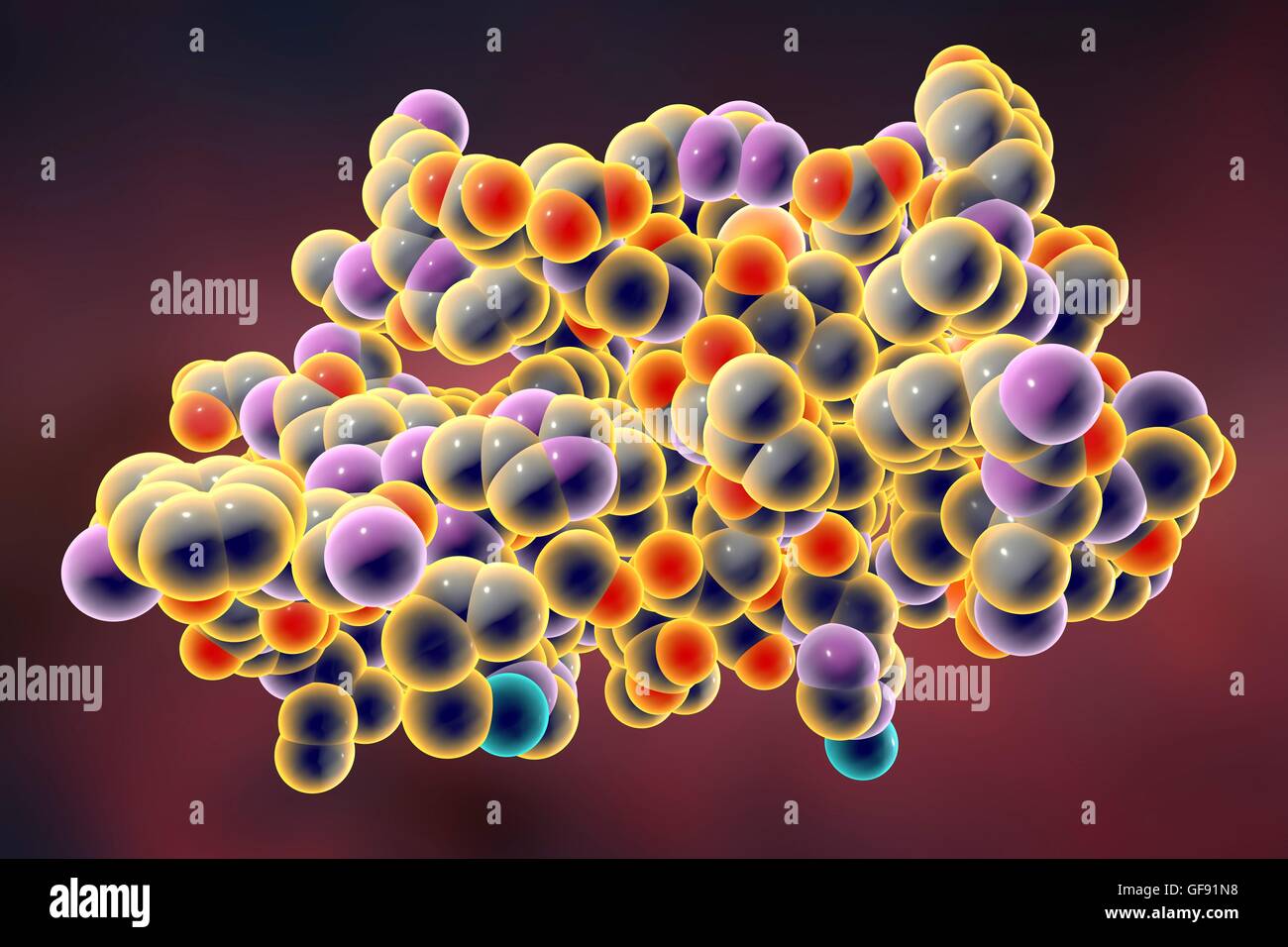 Molecola di insulina. Modello di computer che mostra la struttura di una molecola di ormone insulina. L'insulina svolge un ruolo importante nel livello di zucchero nel sangue il regolamento. L'insulina viene rilasciata dal pancreas quando i livelli di zucchero nel sangue sono elevati, per esempio dopo un pasto, promp Foto Stock