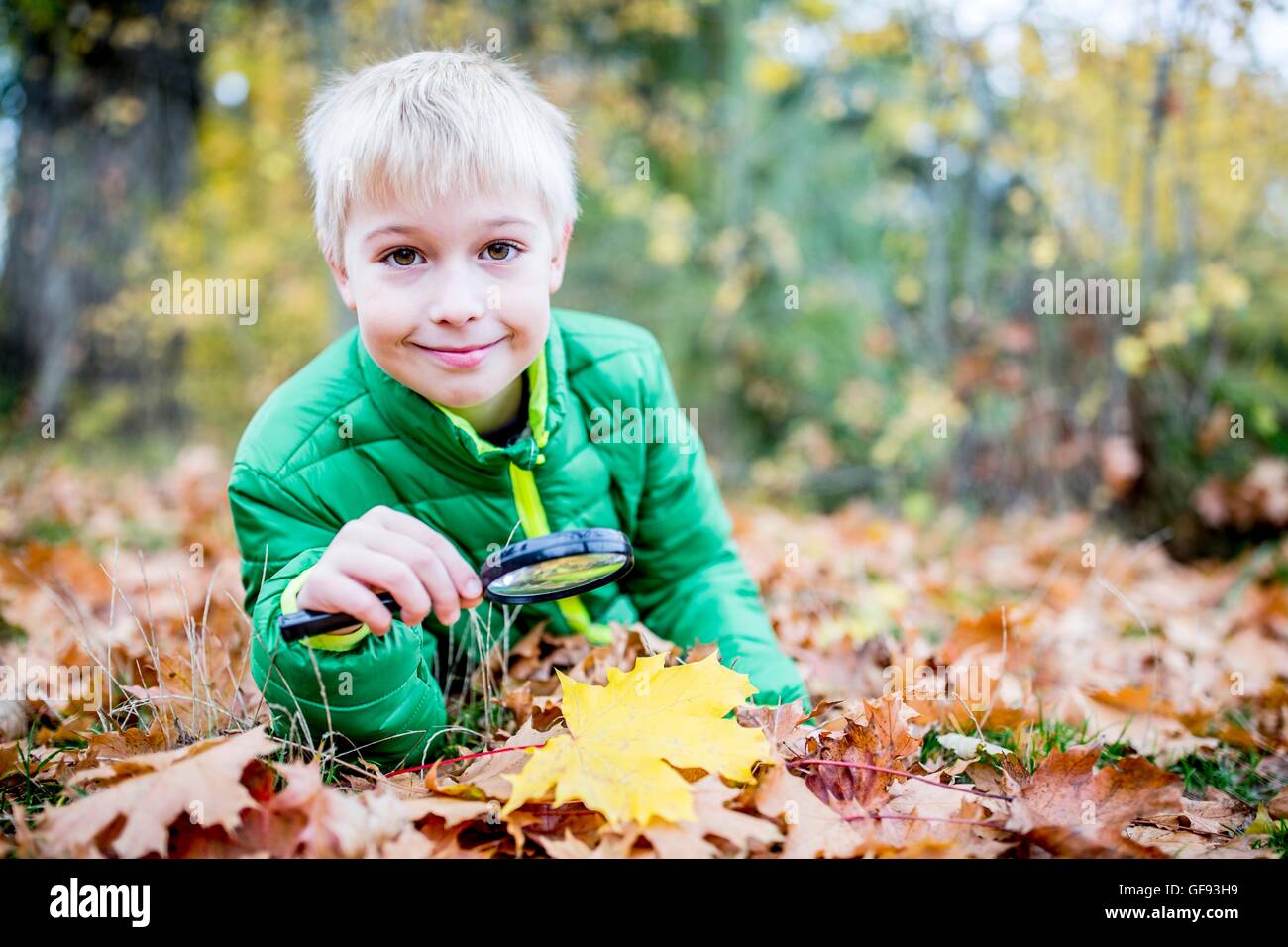 Modello rilasciato. Ragazzo tenendo la lente di ingrandimento su foglie di autunno, sorridente, ritratto. Foto Stock