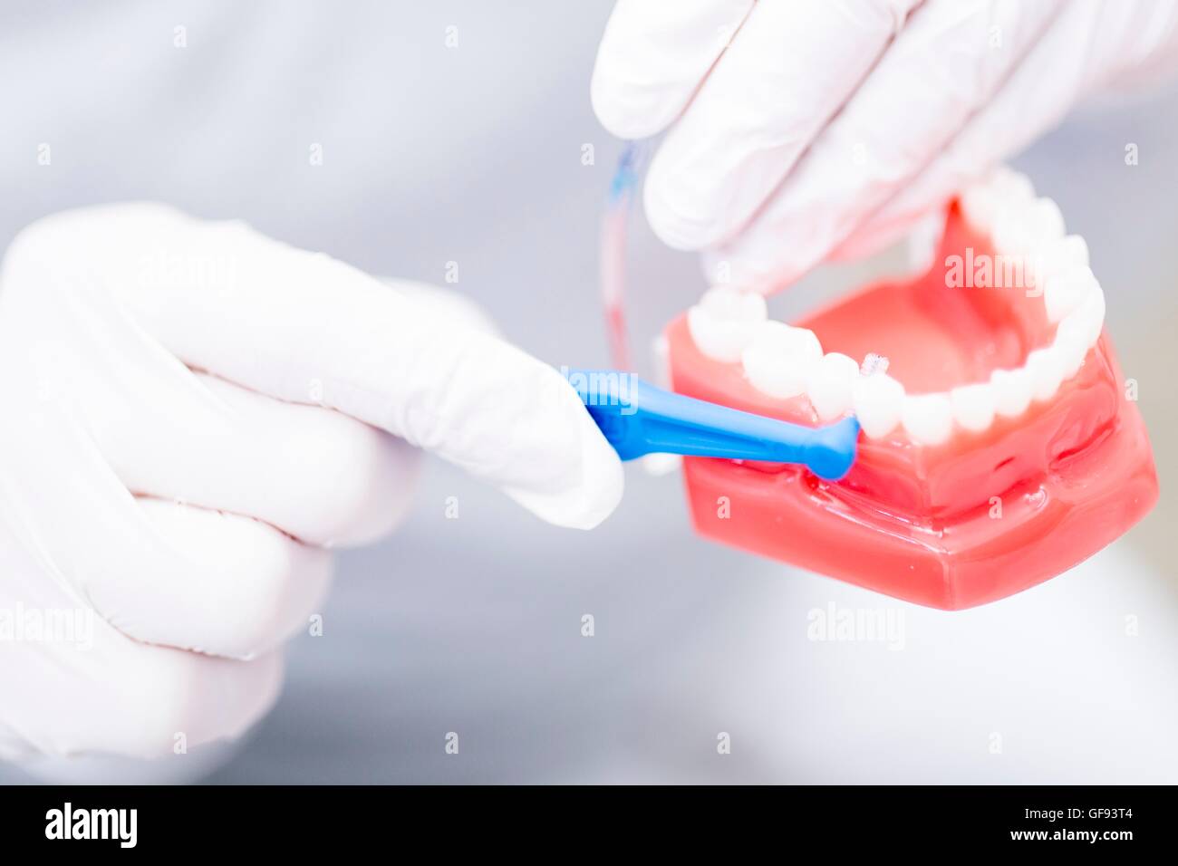 Dentista che mostra le dentiere, close-up. Foto Stock