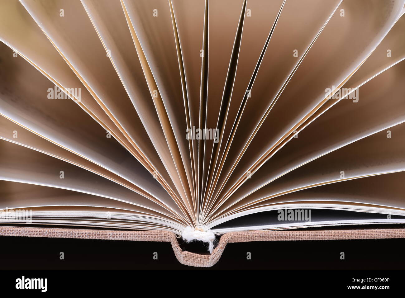 Close up aprire le pagine del libro Foto Stock