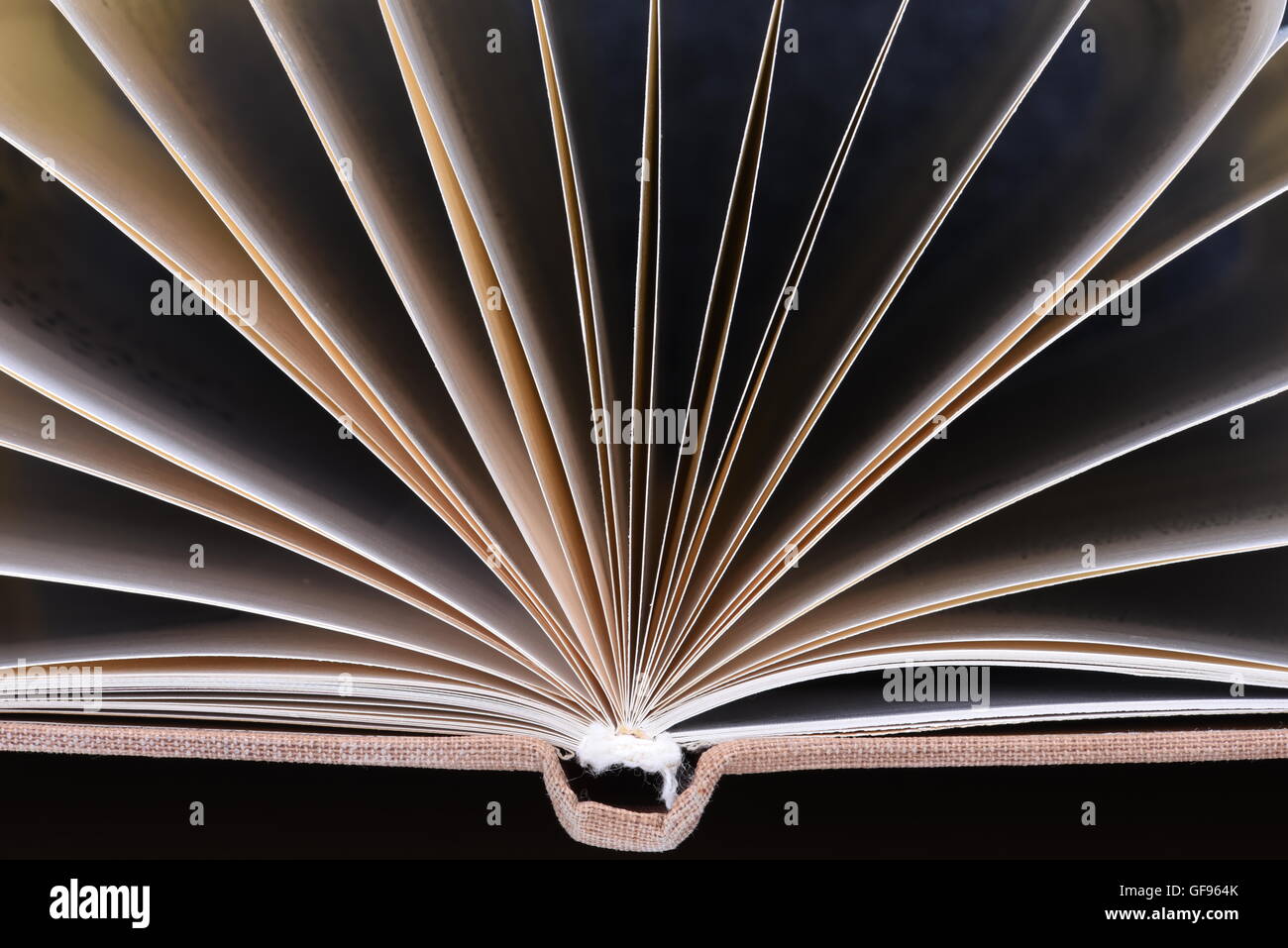 Close up aprire le pagine del libro Foto Stock