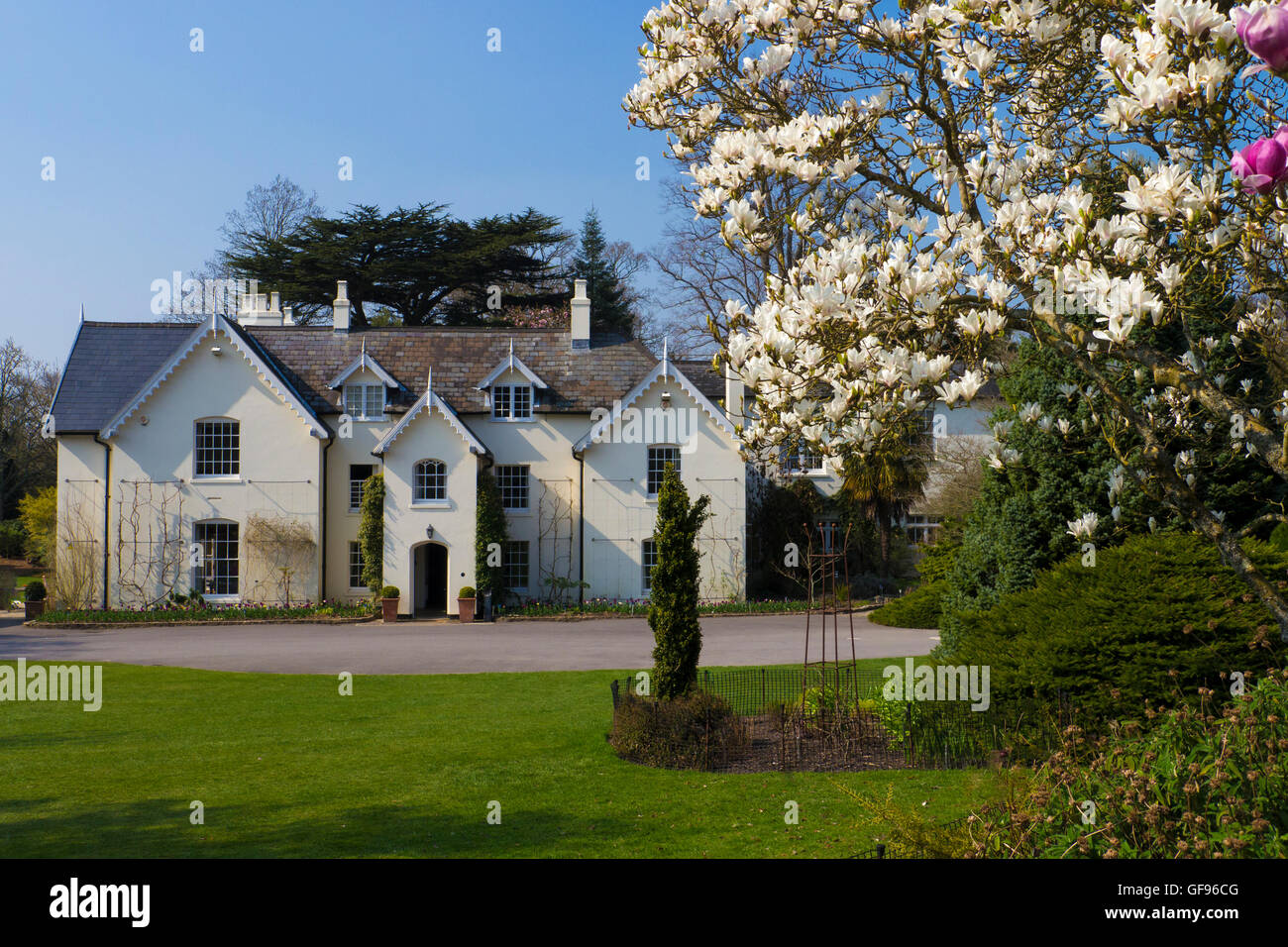 Sir Harold Hillier giardini. Jermyn's House & Magnolia Avenue (aprile 2015) Romsey, Hampshire, Inghilterra. Foto Stock