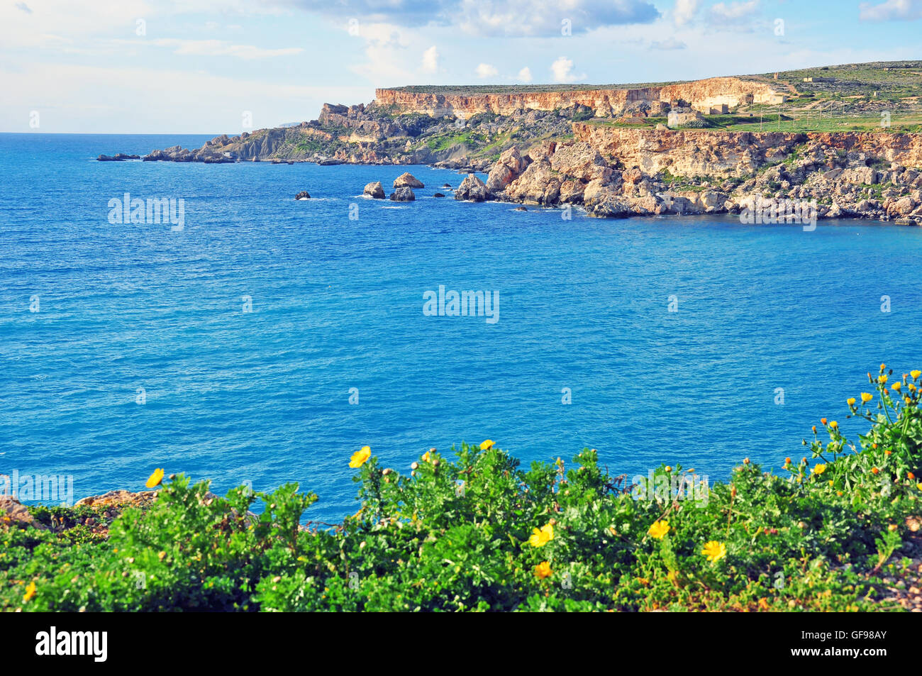 Fiori, rocce e mare. Paesaggio mediterraneo, Malta Foto Stock