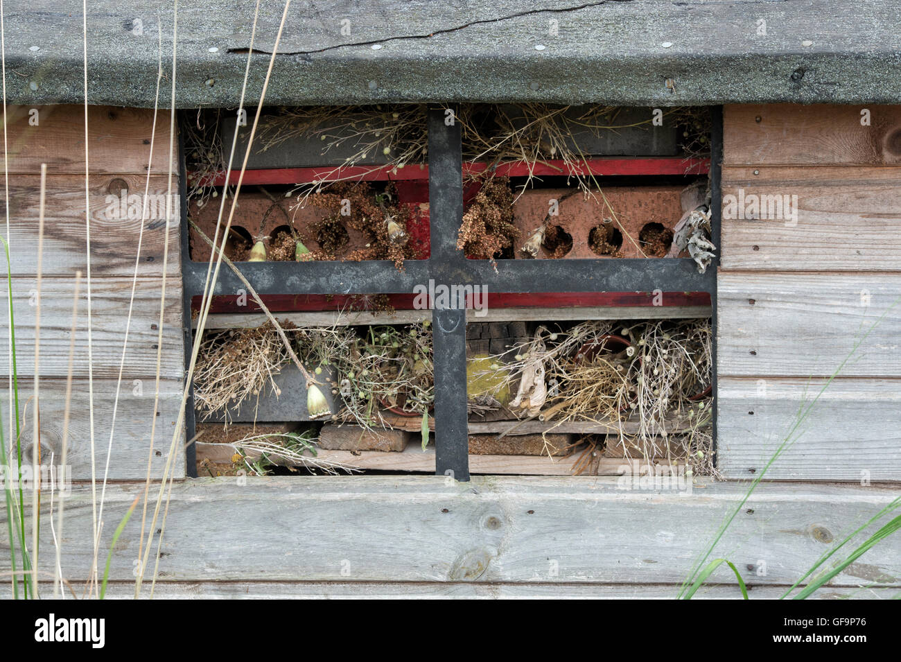 In legno antico wendy house si è trasformato in un insetto home usando i vecchi pallet in legno a Ryton Giardini e orti biologici. Coventry, Regno Unito Foto Stock