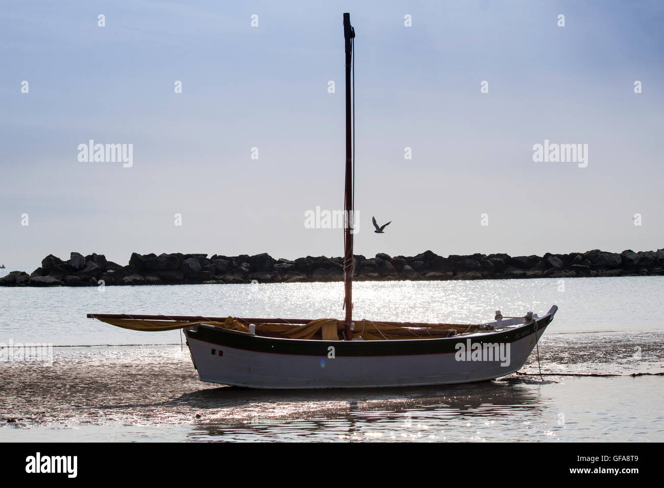 Tradizionale barca a vela in secco, la bassa marea, Italia adriatica Foto Stock