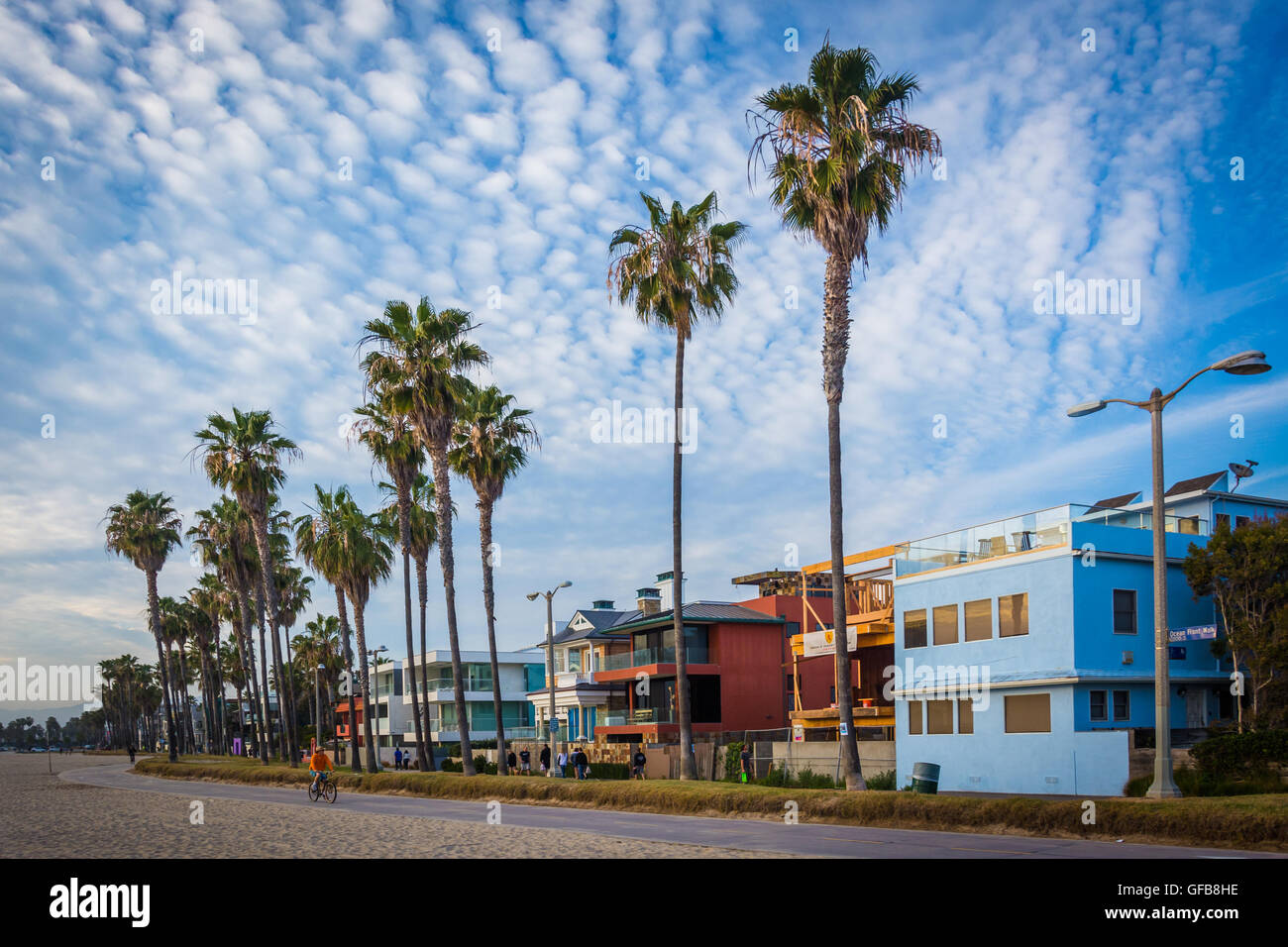 Palme e case lungo la spiaggia di Venice Beach, Los Angeles, California. Foto Stock