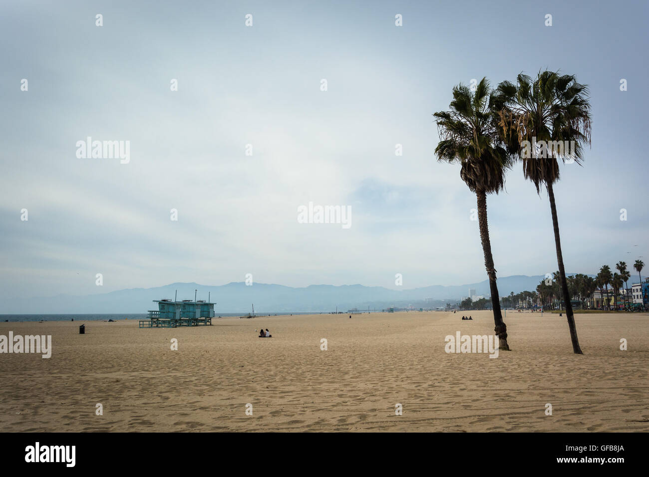 Le palme sulla spiaggia, in Venice Beach, Los Angeles, California. Foto Stock