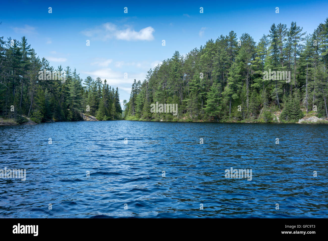 Campagna ontario canada Natura lago di acqua sunny Foto Stock