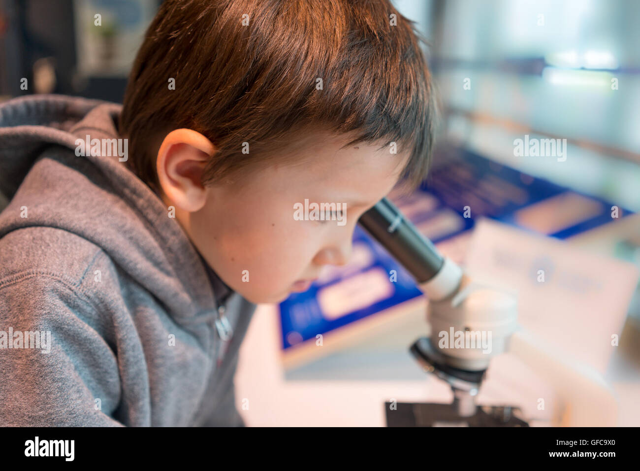 Bambino guardando nel microscopio Foto Stock