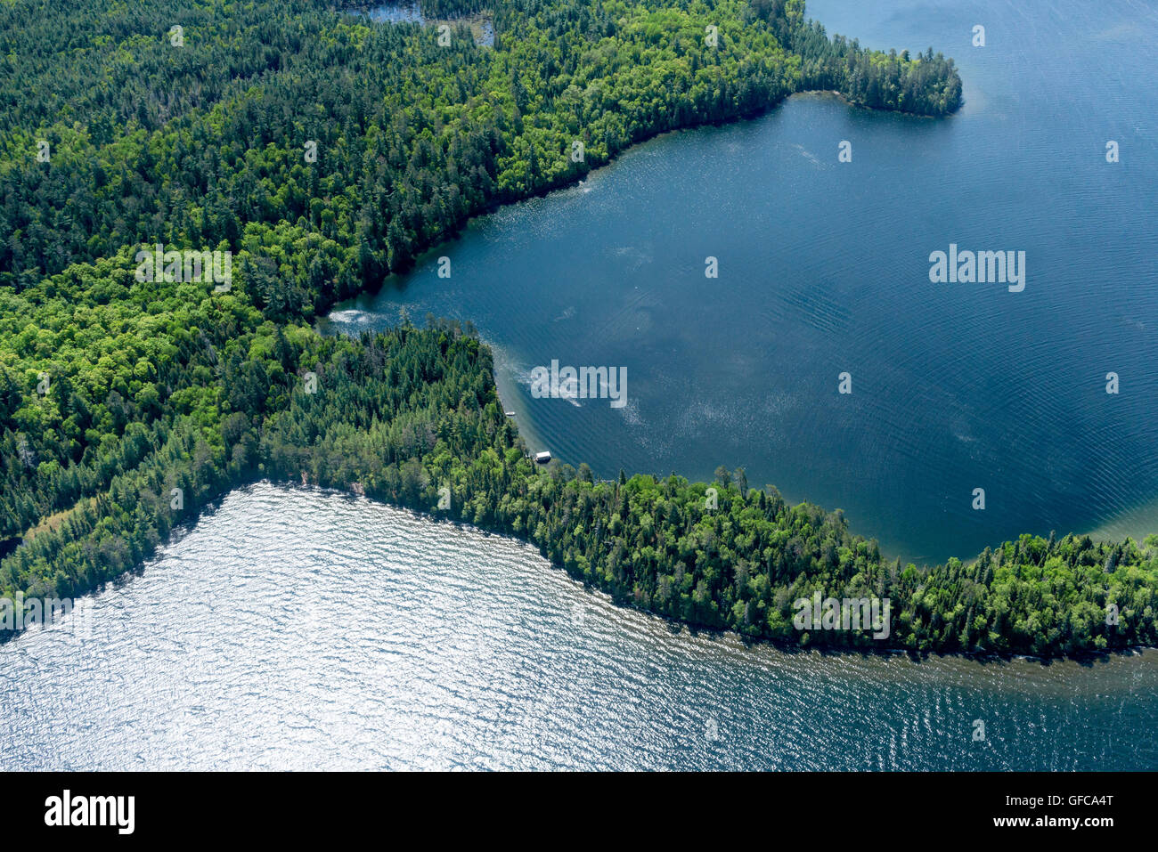 Campagna ontario canada natura vedute aeree lake forest Foto Stock