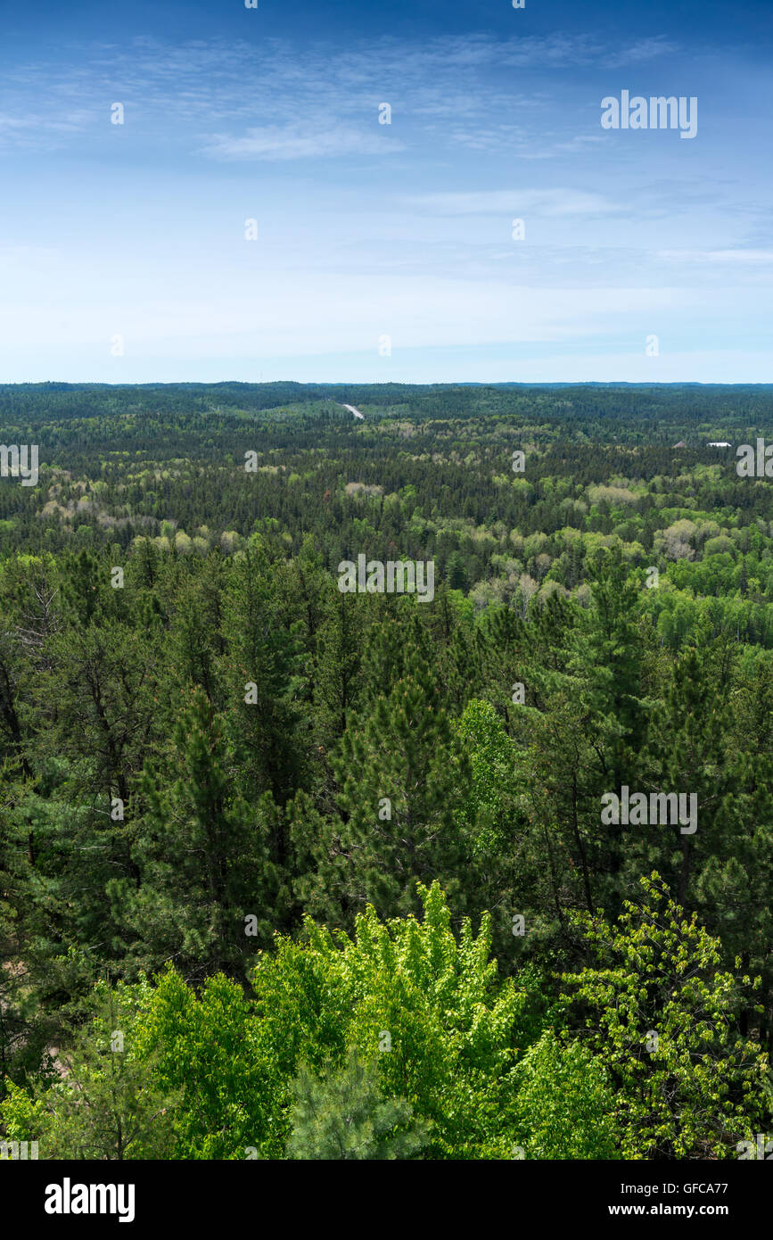 Campagna ontario canada natura vedute aeree lake forest Foto Stock