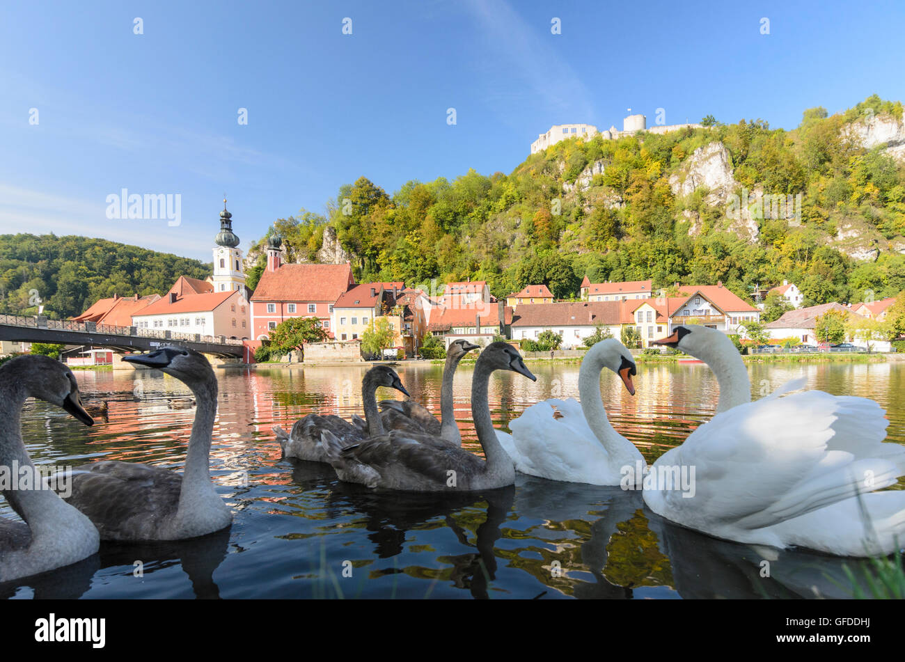 Kallmünz: ponte di pietra sul fiume Naab , Cigno ( Cygnus olor ) , Chiesa di San Michele e Kallmünz Castle, Germania Bayern Foto Stock