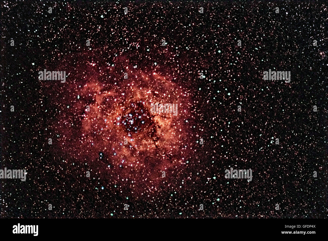 Rosette Nebula beautiful night sky La rosa del cielo notturno Foto Stock