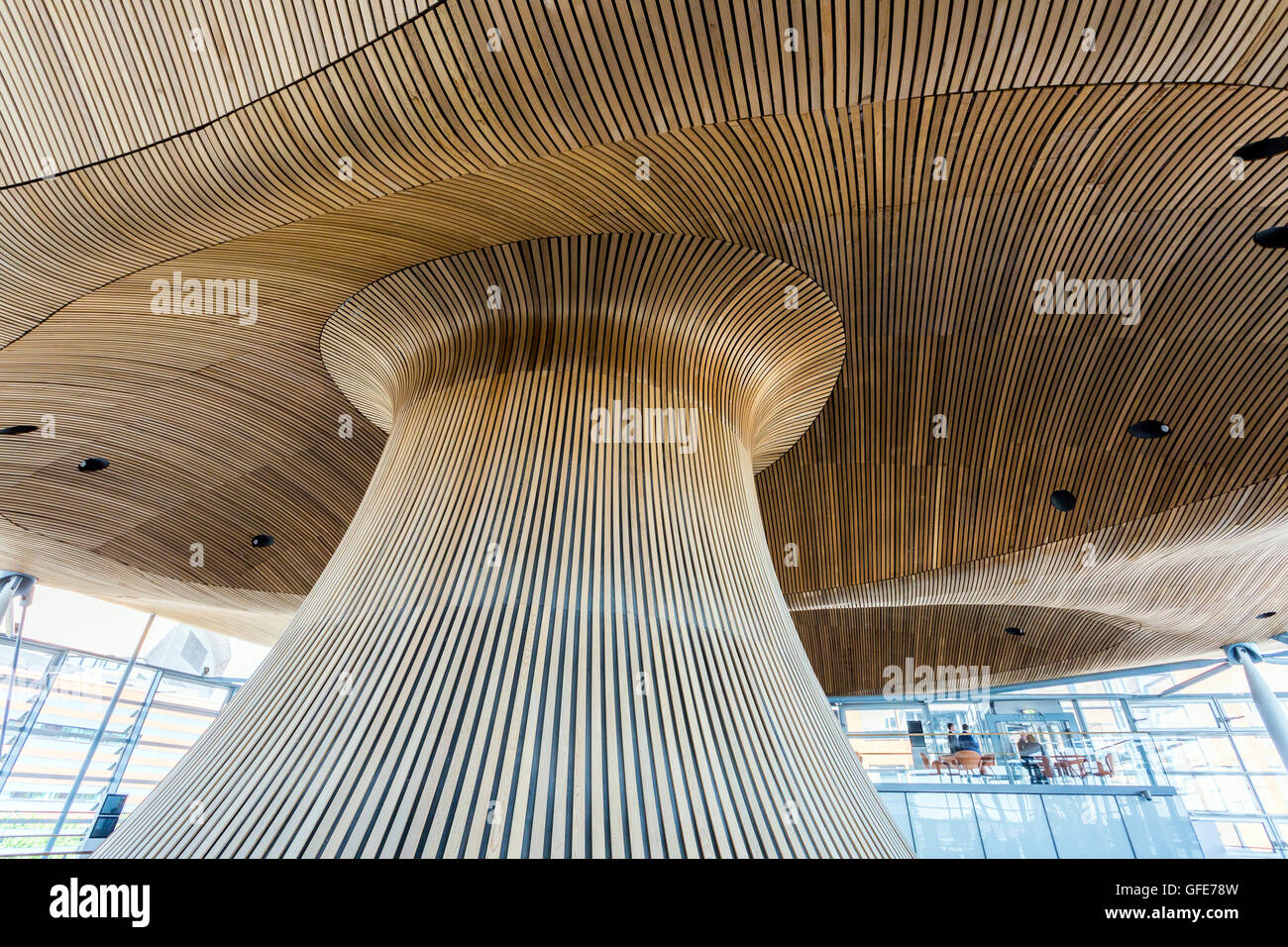 Lavori in legno di architettura all' interno dell' edificio Senedd in Cardiff, South Glamorgan, Wales, Regno Unito Foto Stock