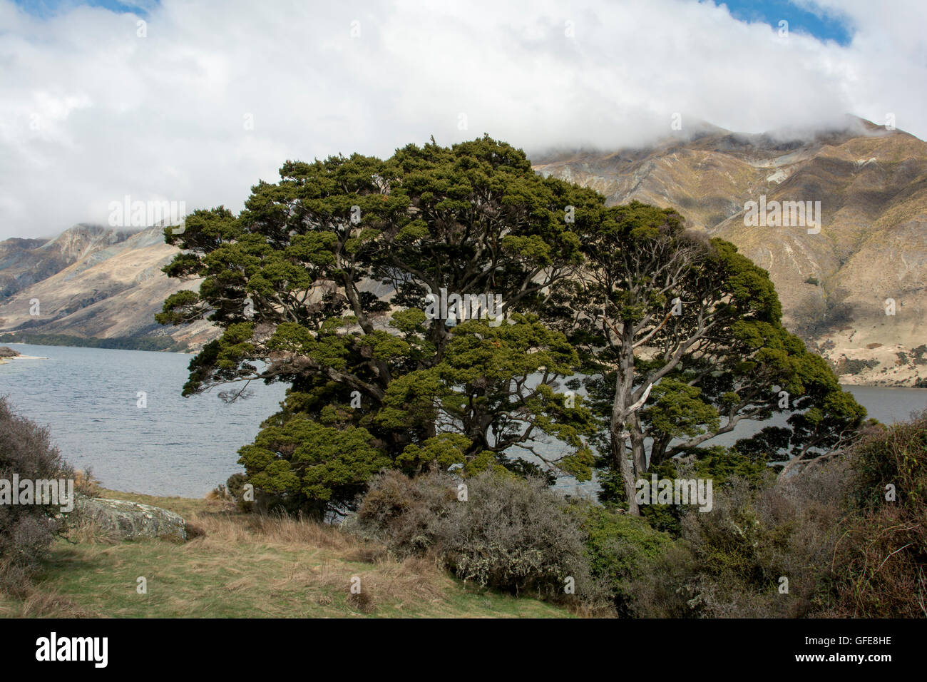 In splendido isolamento la Mavora Laghi Specchio dell'Livingstone montagne delle Alpi del Sud della Nuova Zelanda. Foto Stock