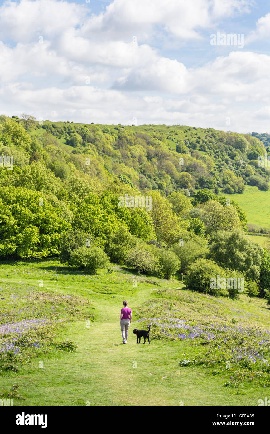 Primavera camminando sul picco di camma verso la camma verso il basso lungo il Cotswold Way, Gloucestershire, England, Regno Unito Foto Stock