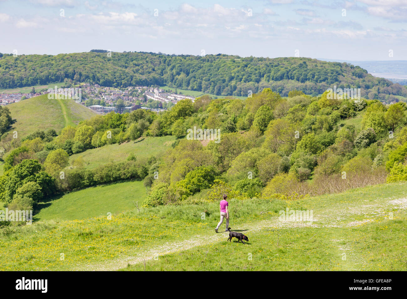 Primavera a piedi lungo la camma verso il basso guardando verso la camma di picco sui Cotswold Way, Gloucestershire, England, Regno Unito Foto Stock