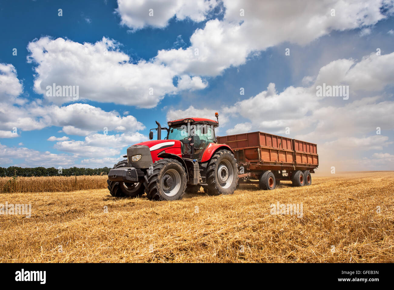 Moderno trattore rosso sul settore agricolo sulla soleggiata giornata estiva. Foto Stock