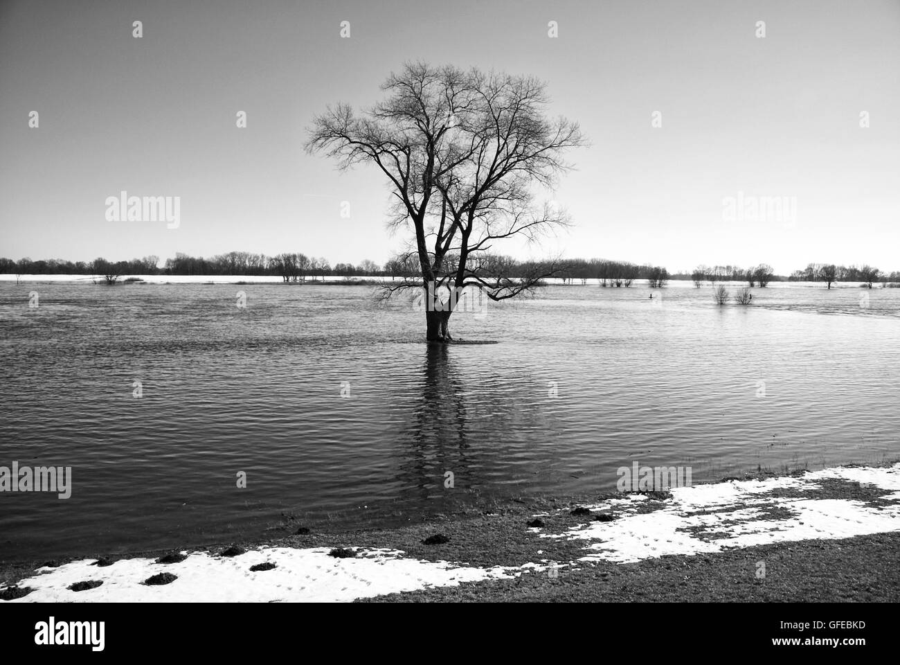 Elbe in inverno , Schleswig-Holstein, Germania Foto Stock
