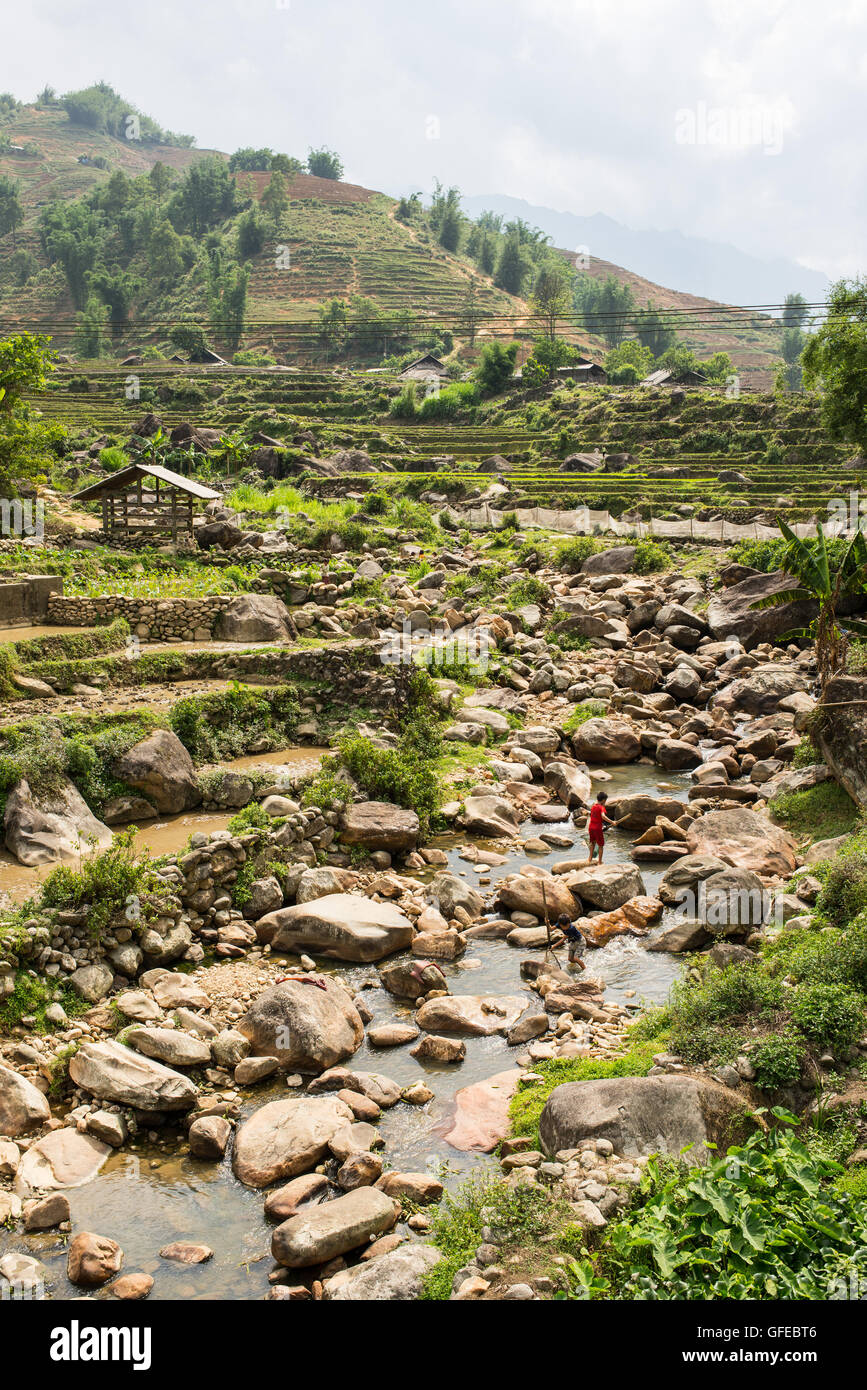 Flusso di piccole dimensioni con i ragazzi la pesca in esecuzione nel paesaggio rurale con riso risoni di sapa, Vietnam del nord. Foto Stock