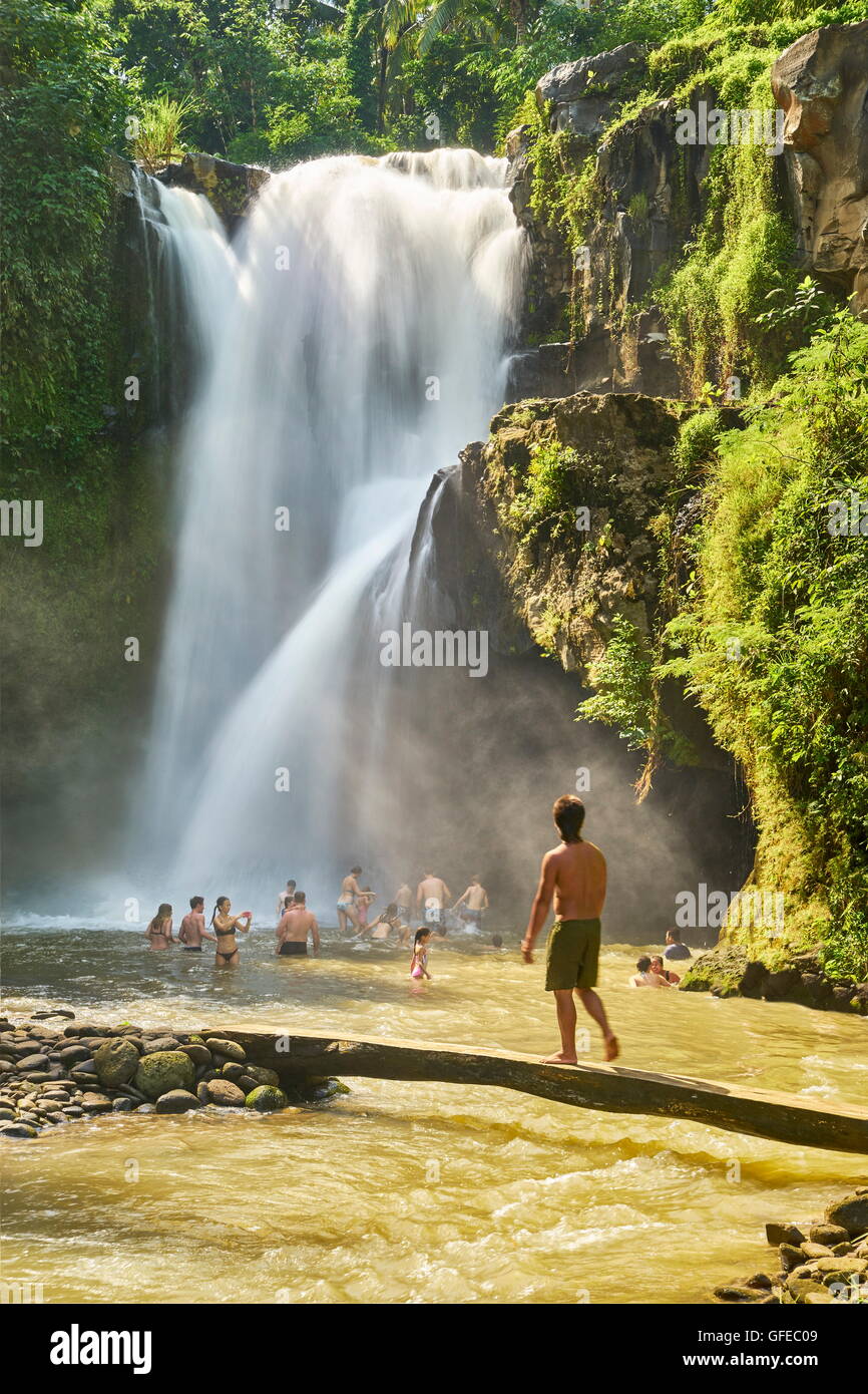 Cascata Tegalalang nei pressi di Ubud, Bali, Indonesia Foto Stock