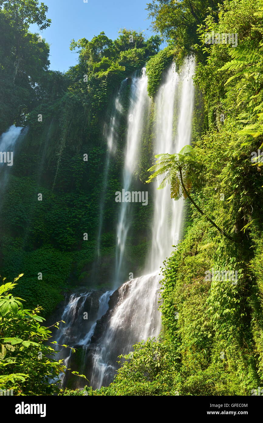 Cascata Sekumpul, Bali, Indonesia Foto Stock