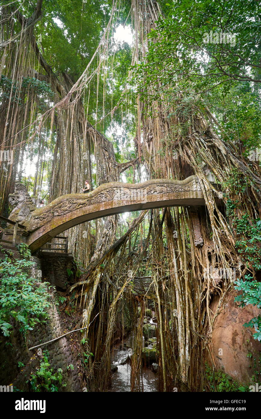 Dragon Bridge nel sacro santuario di scimmia, Bali, Indonesia Foto Stock