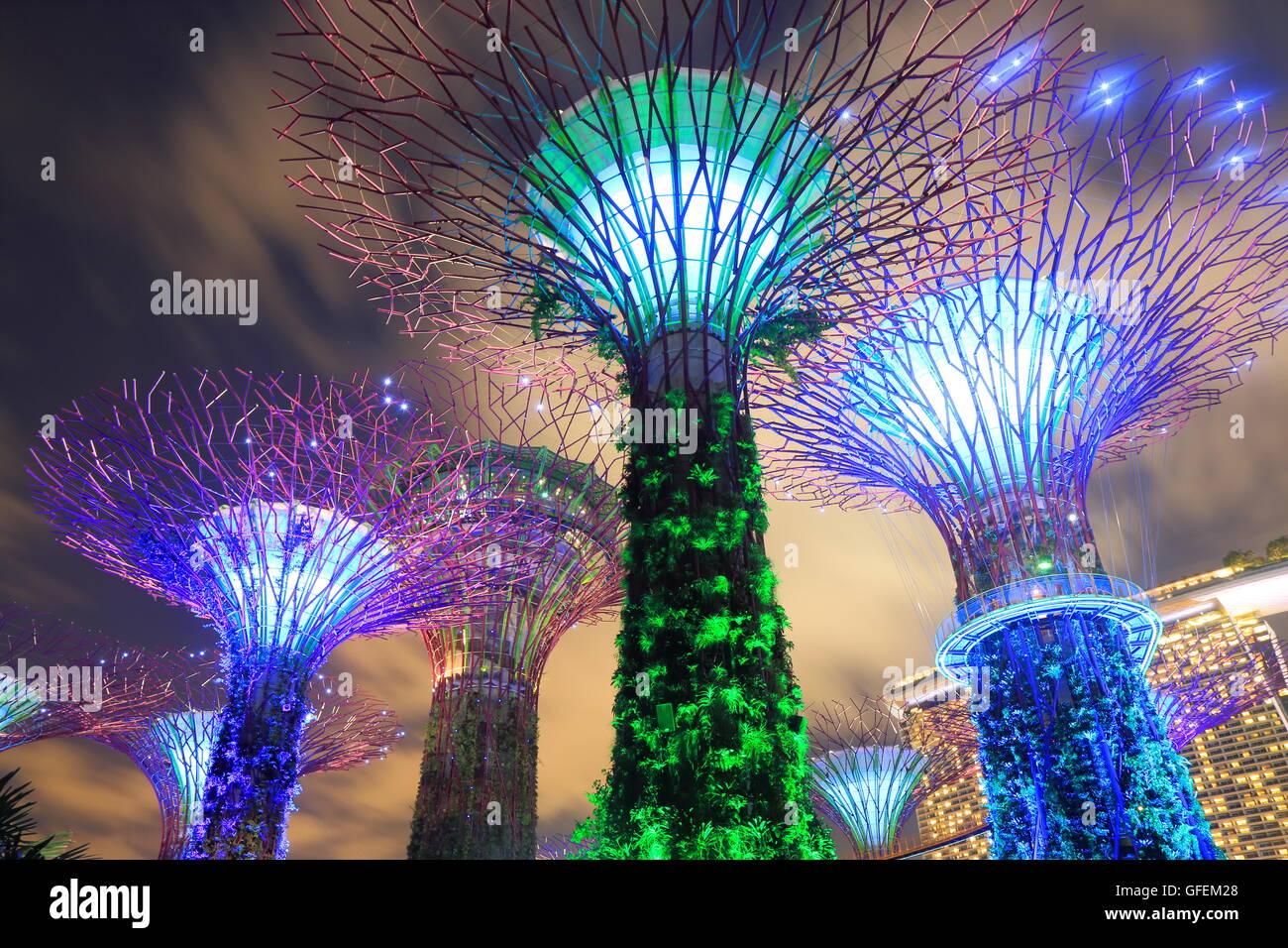Giardini dalla baia Supertree Grove in Singapore. Foto Stock