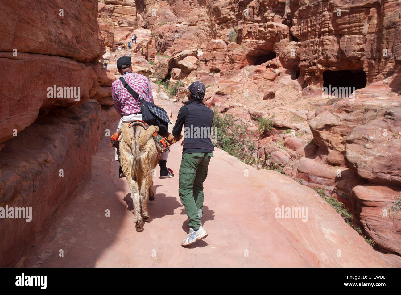 Un turista che guida su un asino all'interno della città perduta di Petra, Giordania, Medio Oriente. Foto Stock