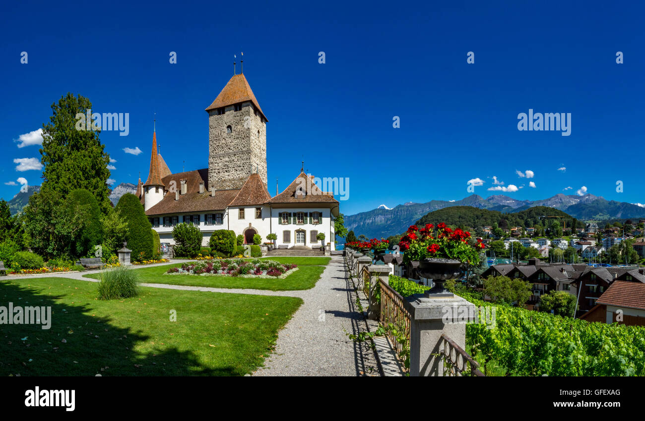 Il castello di Spiez, il lago di Thun, Oberland bernese, Berna, Svizzera, Europa Foto Stock