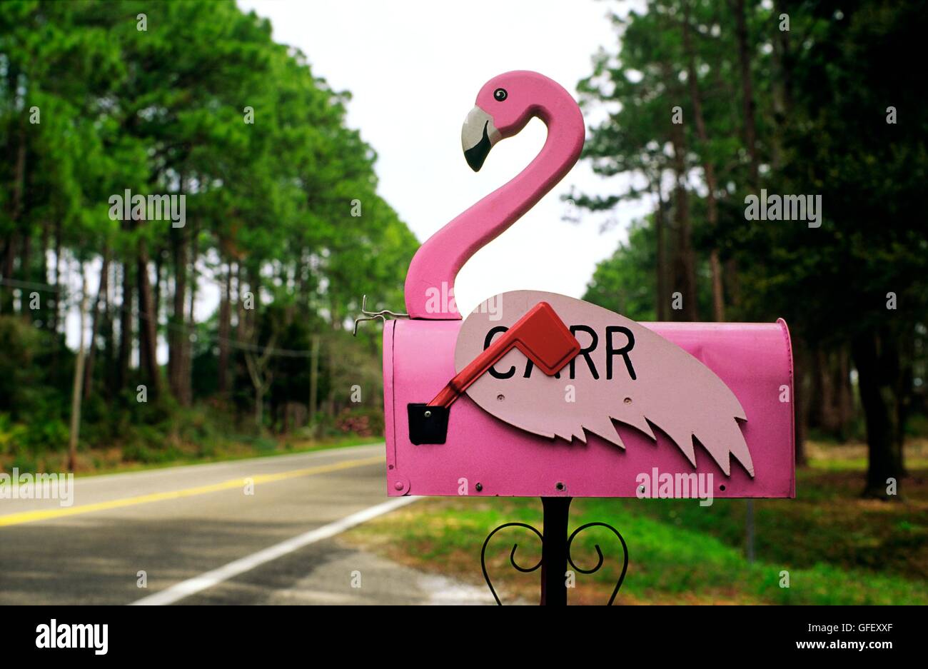 Noi americani mailbox sul ciglio della strada in forma di fenicottero rosa. usa Foto Stock