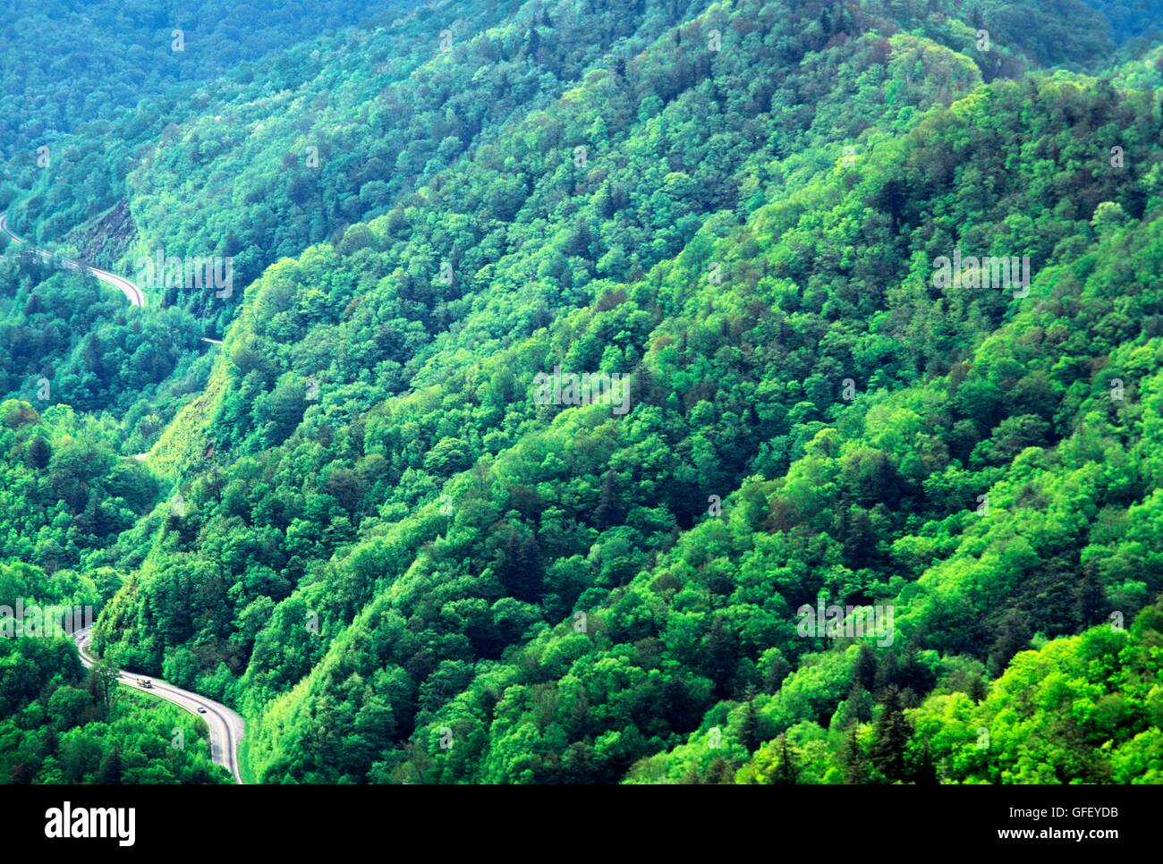 Parco nazionale di Great Smoky mountains, appalachian range, North Carolina, Stati Uniti d'America. est oltre il bosco di alberi forestali dal divario ritrovata Foto Stock