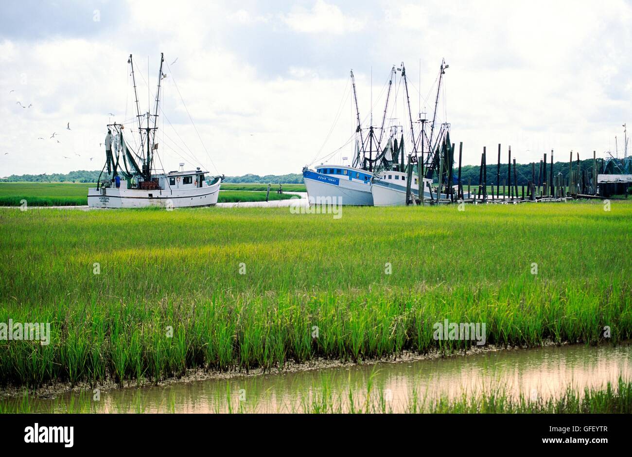 Gamberetti navigare le paludi intorno a caccia Island e isola di Sant'Elena a approcci di Beaufort, la costa del South Carolina, STATI UNITI D'AMERICA Foto Stock