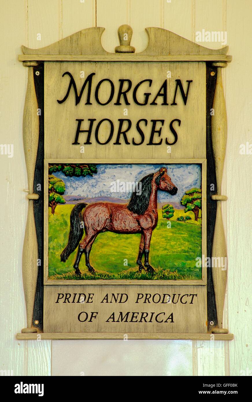 Morgan Horse Farm a Middlebury, Vermont, USA. Vecchio intagliato di legno verniciato di segno. Famosa New England razza allevamento Foto Stock