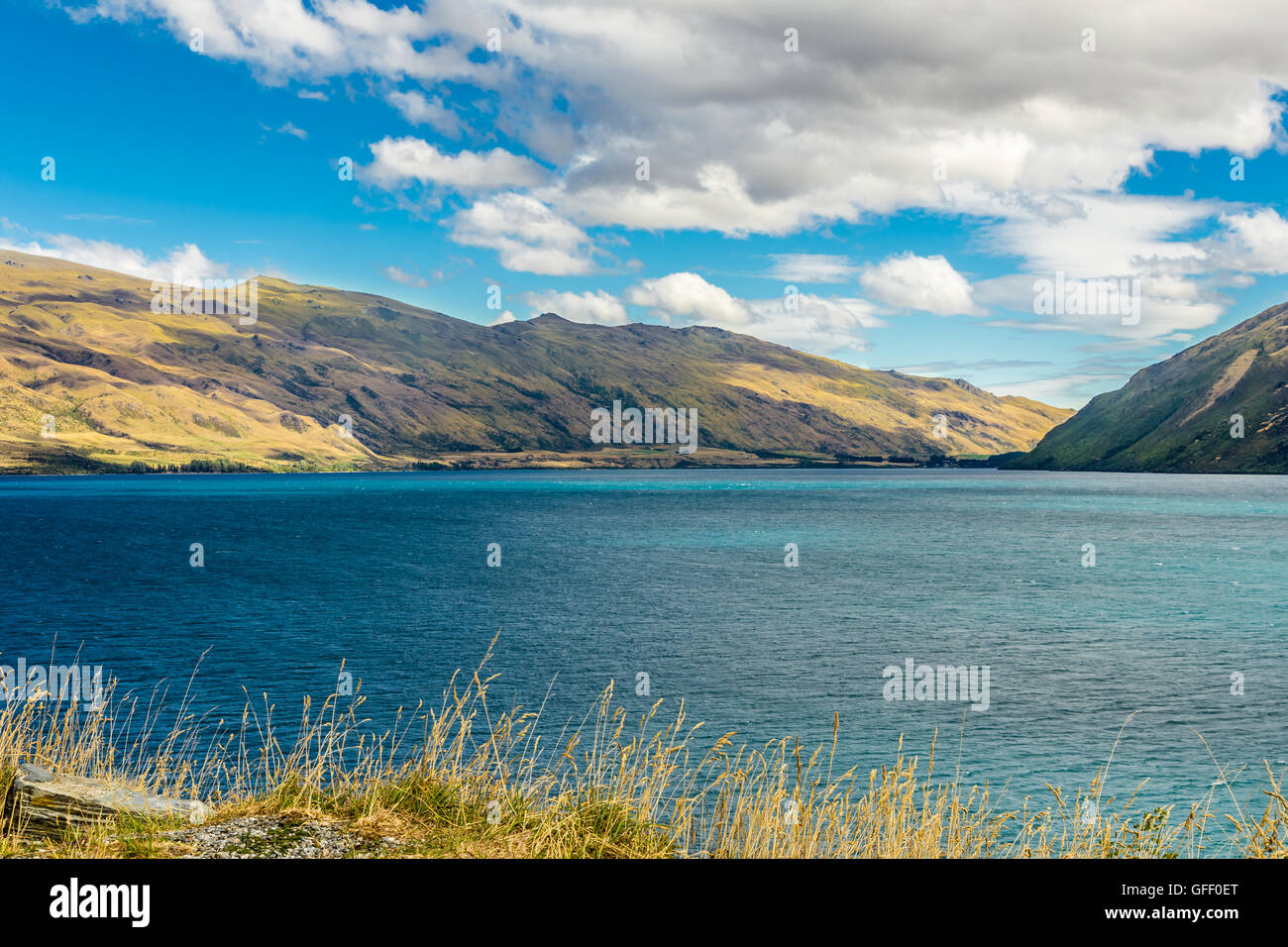 Sul lago Wakatipu, Isola del Sud, Nuova Zelanda Foto Stock