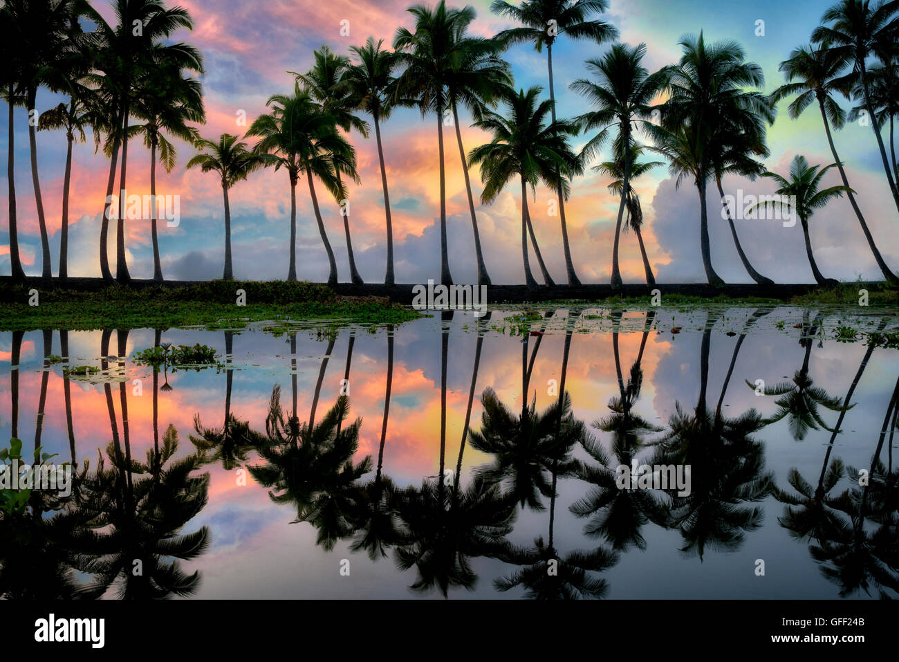 Palme riflettendo in stagno con sunrise. Punaluu spiaggia di sabbia nera. Isola di Hawaii Foto Stock
